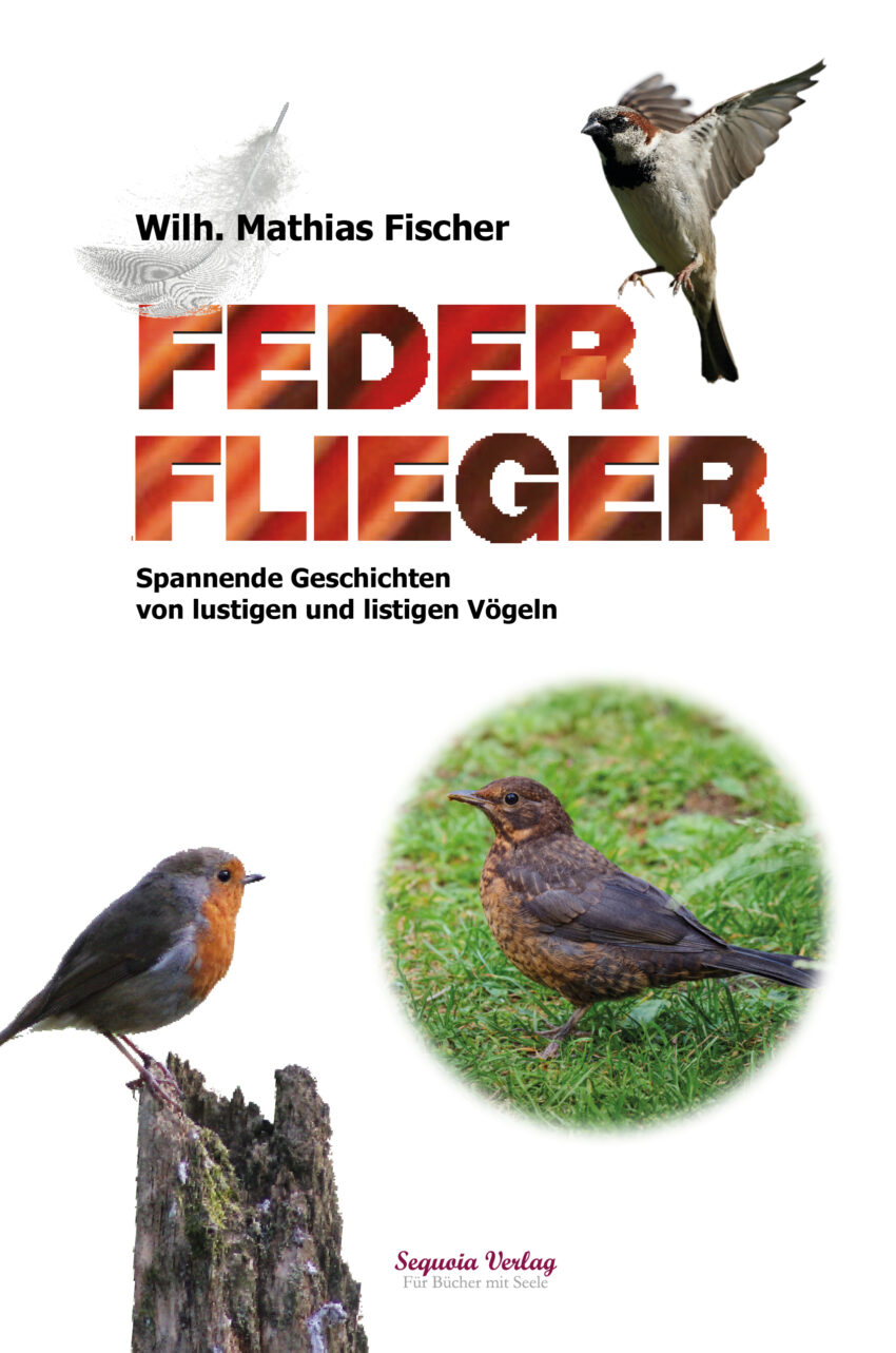 FederFlieger